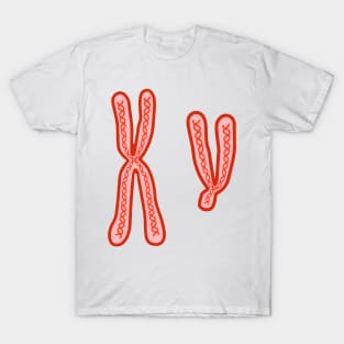 X and Y Chromosomes T-Shirt